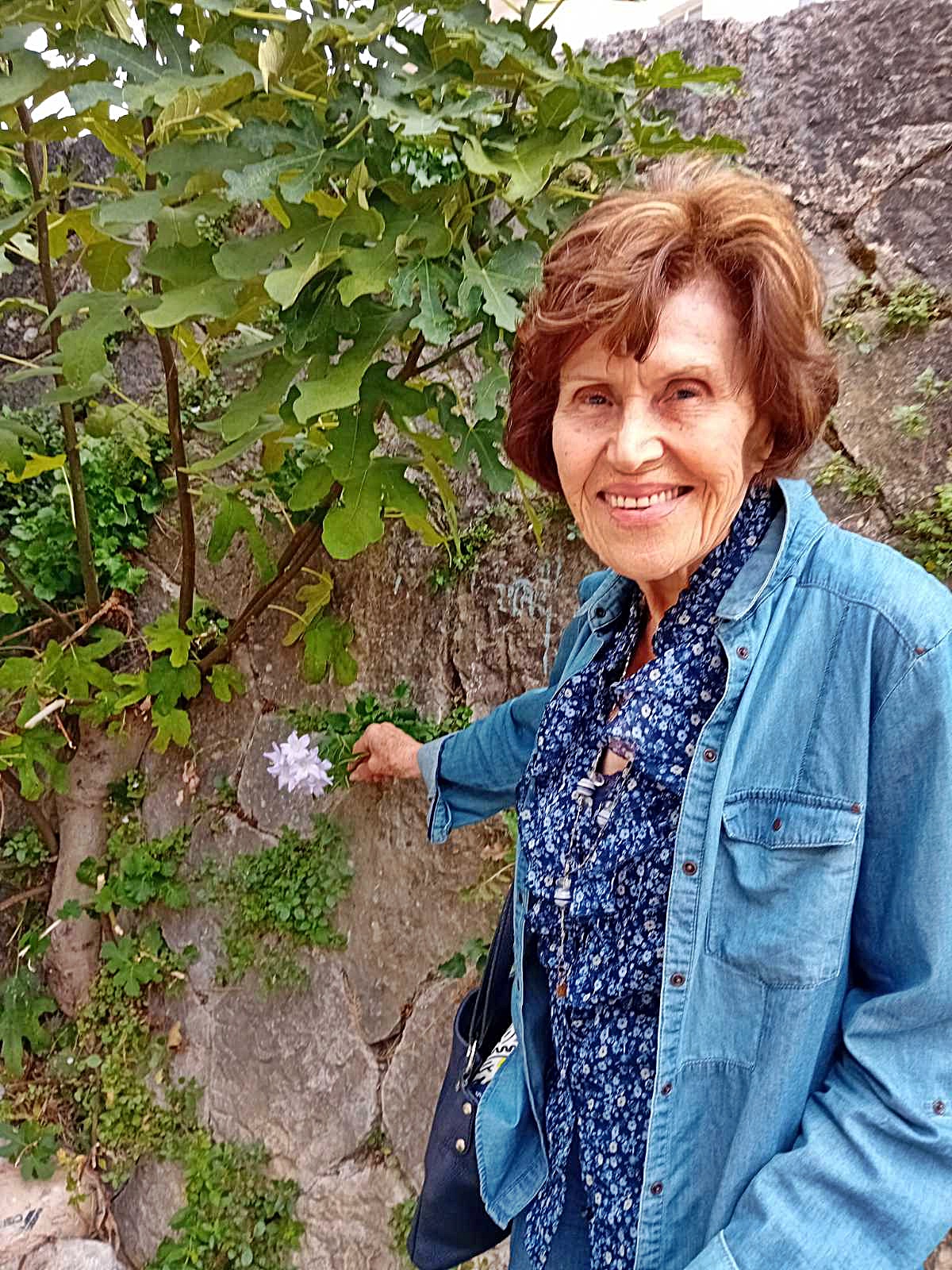 Smokva kod Muzeja Hercegovine kao mjesto okupljanja i druženja